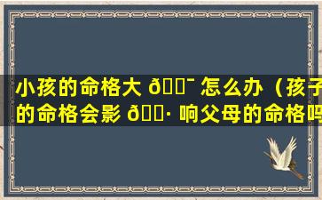 小孩的命格大 🐯 怎么办（孩子的命格会影 🌷 响父母的命格吗）